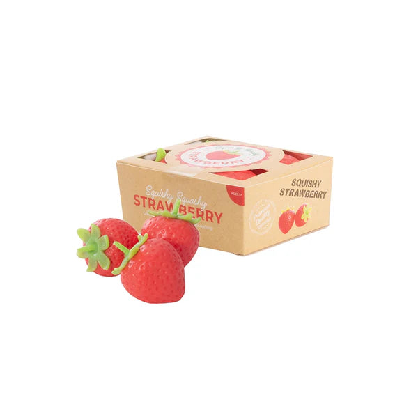 squishy strawberry toy set with soft red strawberries in a box, textured sensory squish toy for kids play and stress relief Adventure Awaits
