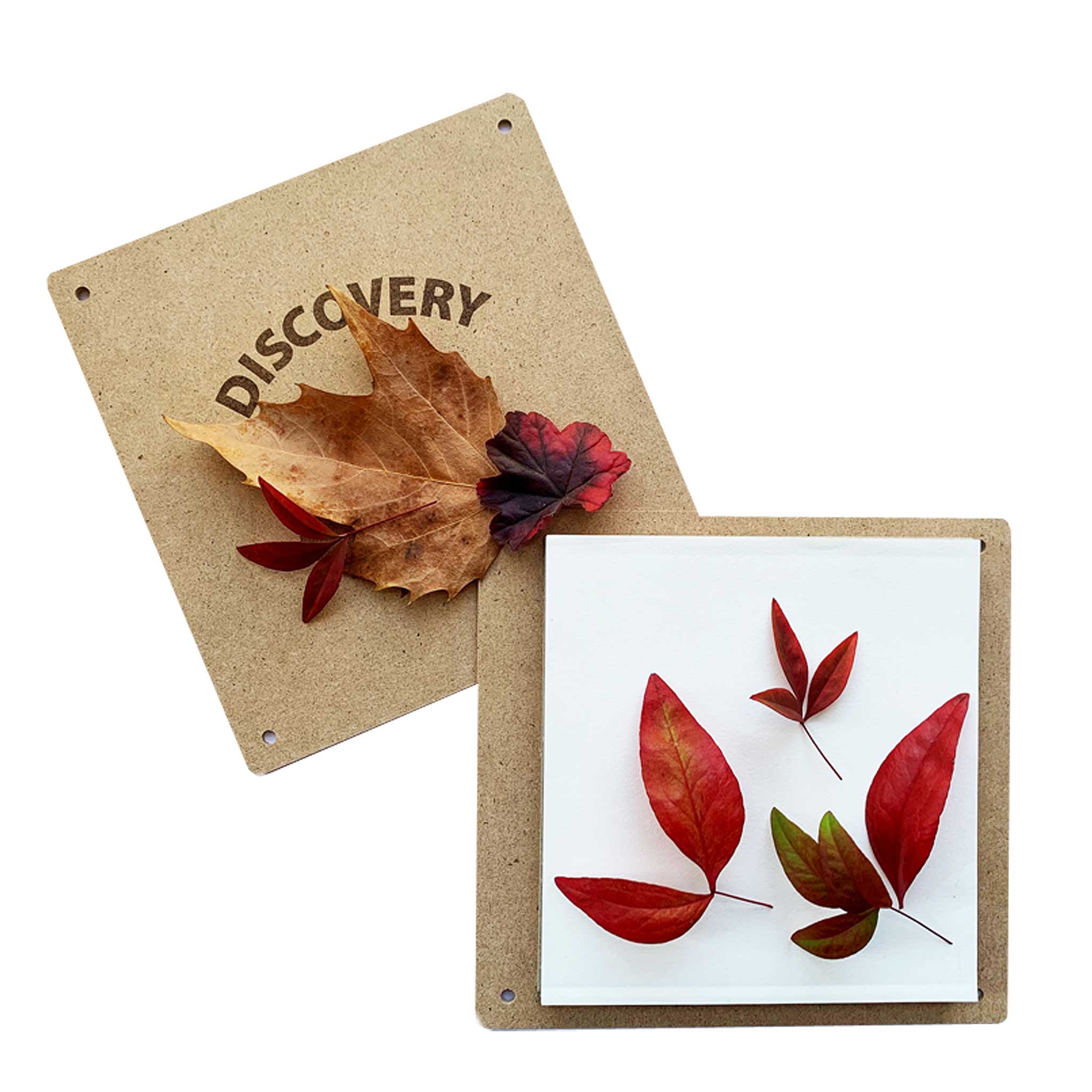 Discovery Flower Press Kit