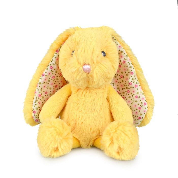yellow blossom frankie bunny sitting on white background