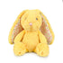 yellow blossom frankie bunny sitting on white background