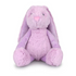frankie bunny in lilac sitting on white background