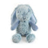 blue spotty frankie bunny sitting on white background