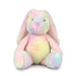 frankie bunny in pastel rainbow sitting on white background