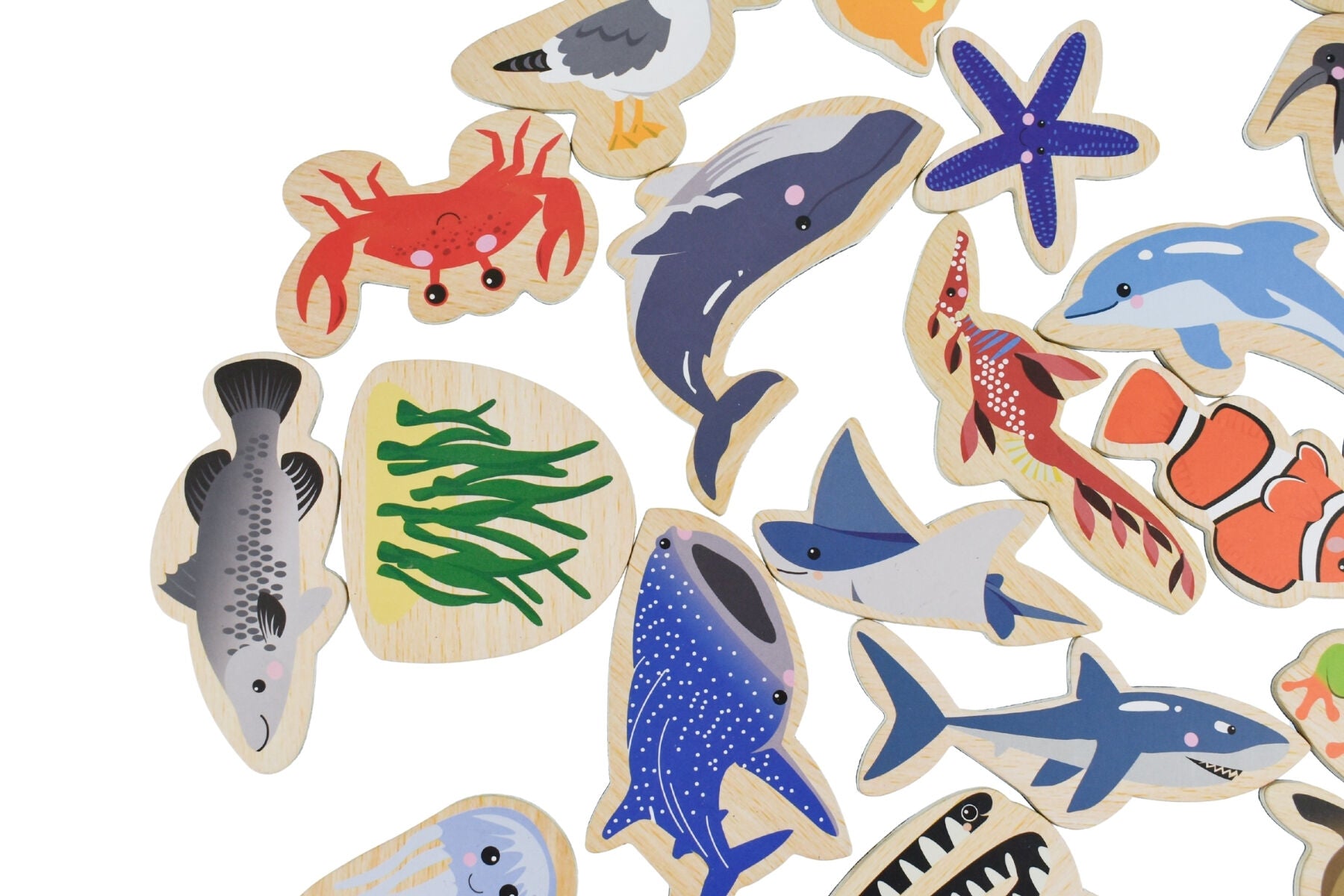 PRE ORDER Fridge Friends Wooden Magnets | Australian Sea Animals 25 pcs