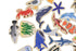 PRE ORDER Fridge Friends Wooden Magnets | Australian Sea Animals 25 pcs