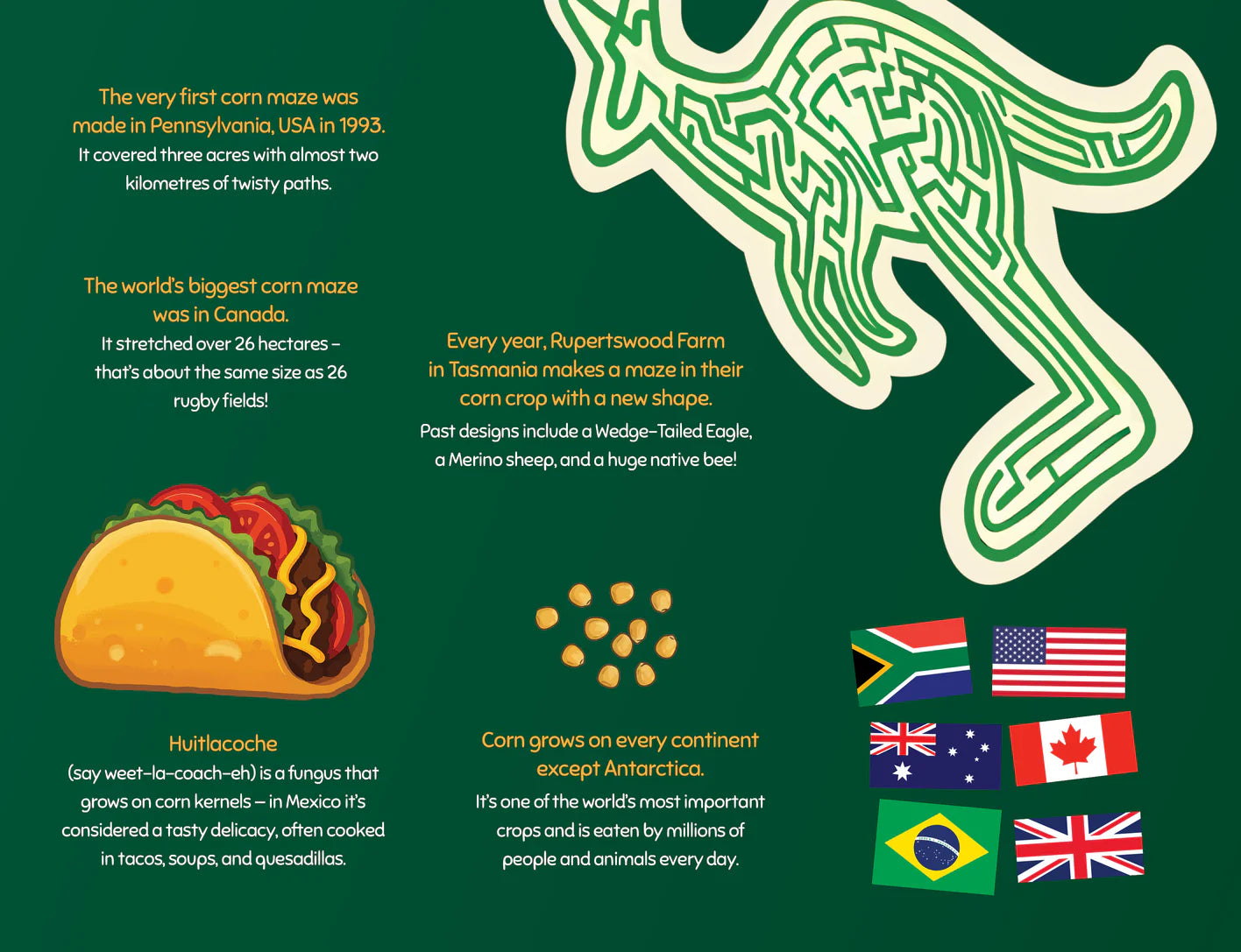 George The Farmer | Picture Book