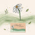 Getting Lost Gardening Edition card game box with illustrated white daisy and green garden scene, Adventure Awaits