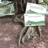 Scavenger Hunt Edition cards on giant tree roots for outdoor travel play — Adventure Awaits