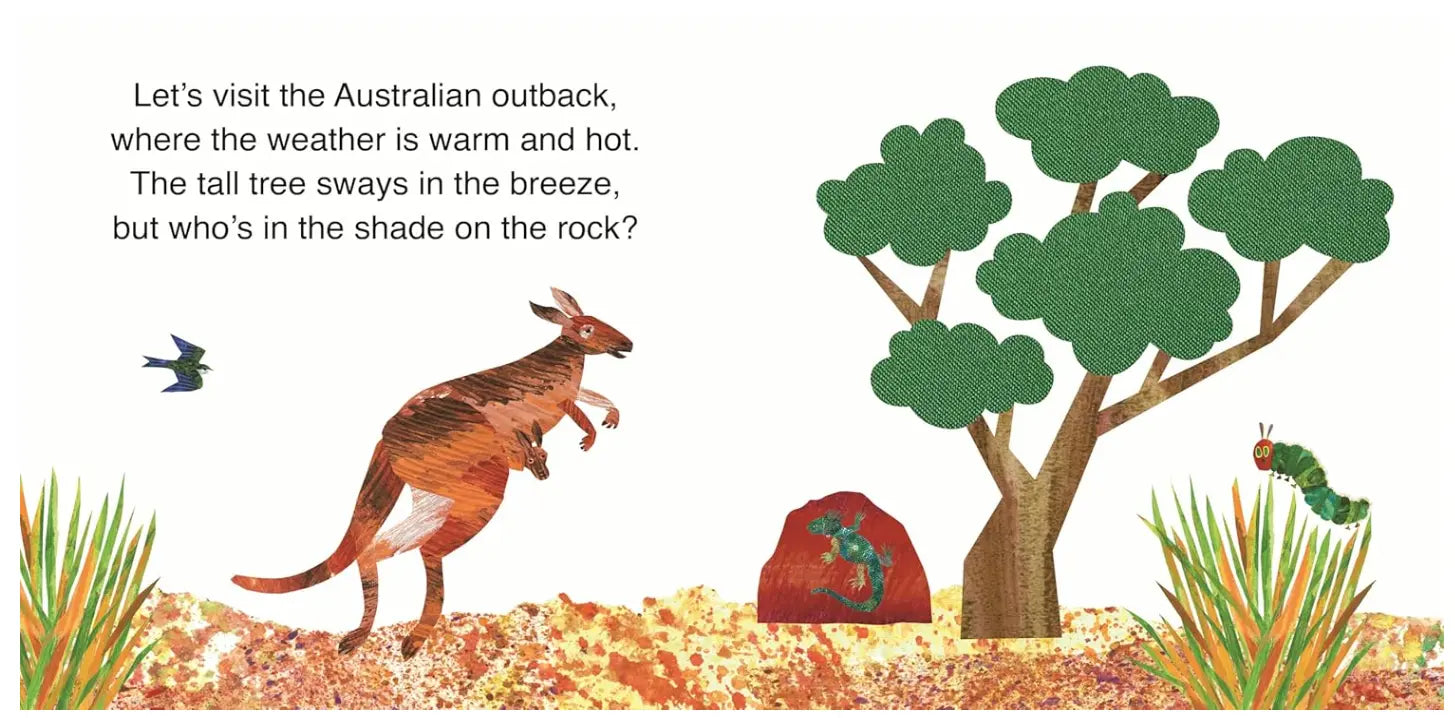 Kangaroo and caterpillar in Australian outback touch-and-feel book spread — Adventure Awaits