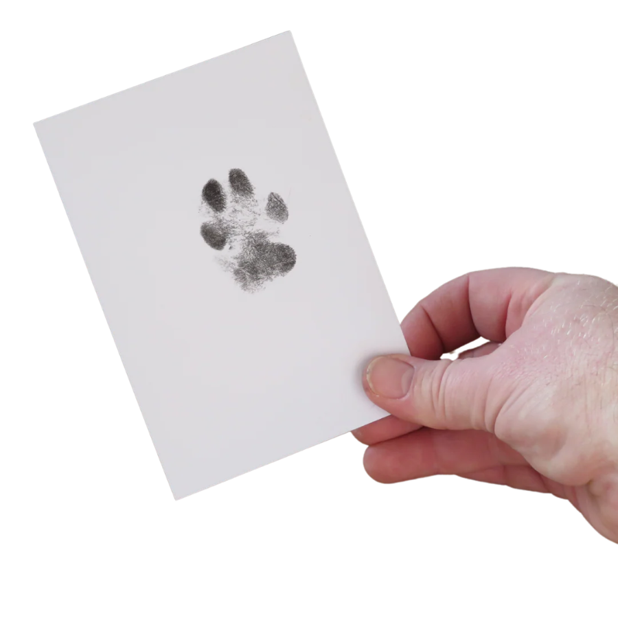 Hand holding a white card with a paw print on a white background
