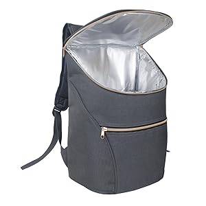 Collapsible Insulated Stylish Backpack