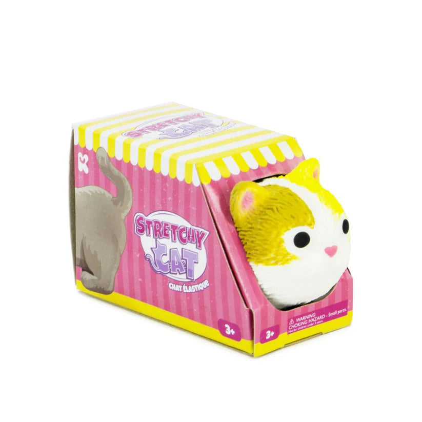 Stretchy Cat toy peeking out of pink striped box — Adventure Awaits