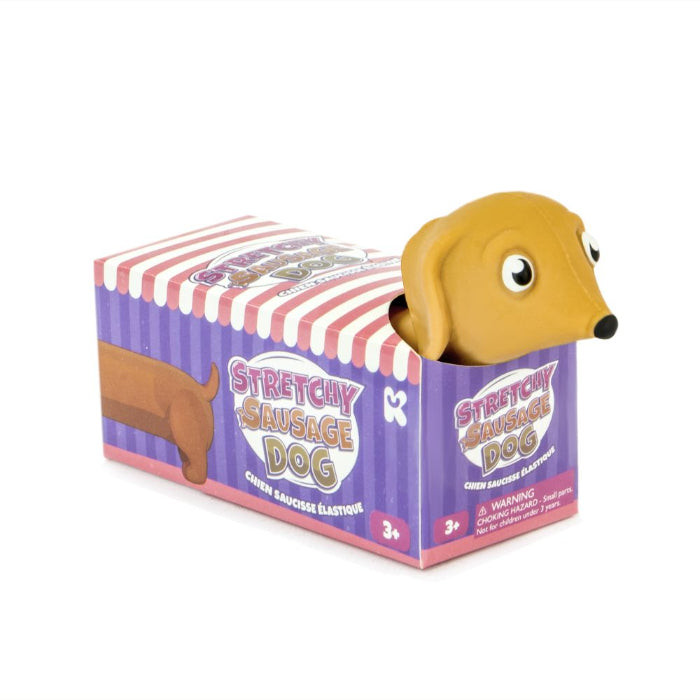 Stretchy Sausage Dog toy in box with tan dachshund head peeking out, fun stretchable sensory toy for kids play at home or travel Adventure Awaits