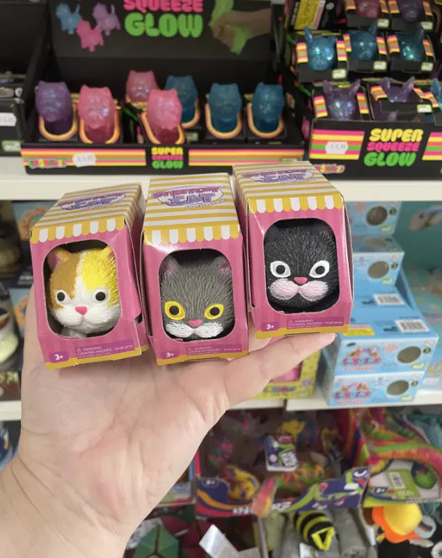Three Stretchy Cat toys held in store in pink striped boxes — Adventure Awaits