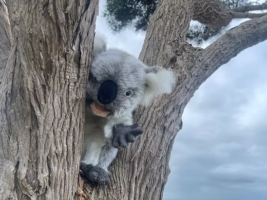 Hansa Puppet | Koala 28cm