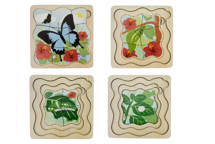 Wooden life cycle puzzles
