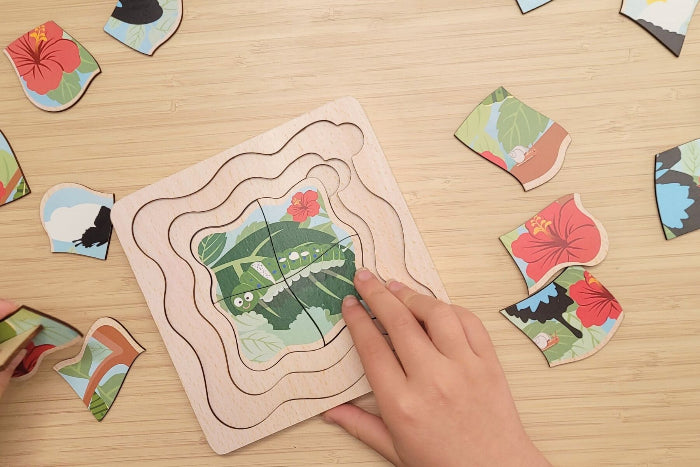 Wooden life cycle puzzles