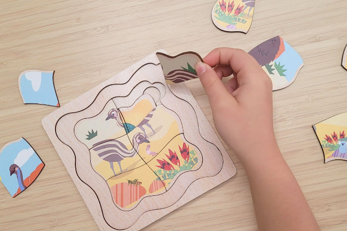 Wooden life cycle puzzles