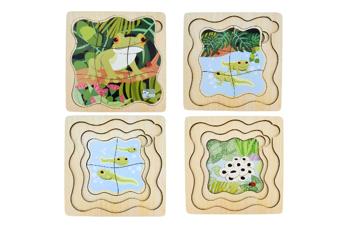Wooden life cycle puzzles