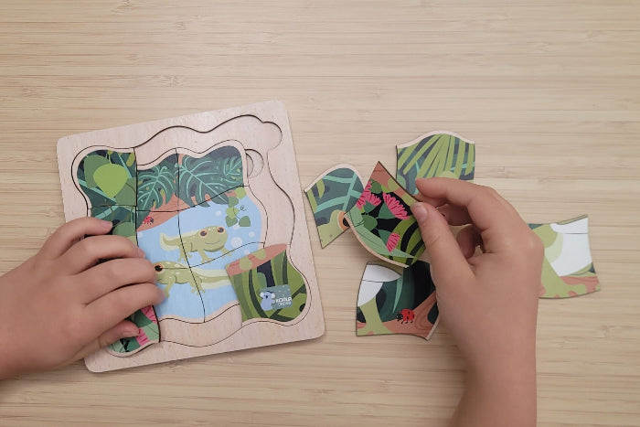 Wooden life cycle puzzles