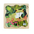 Wooden life cycle puzzles