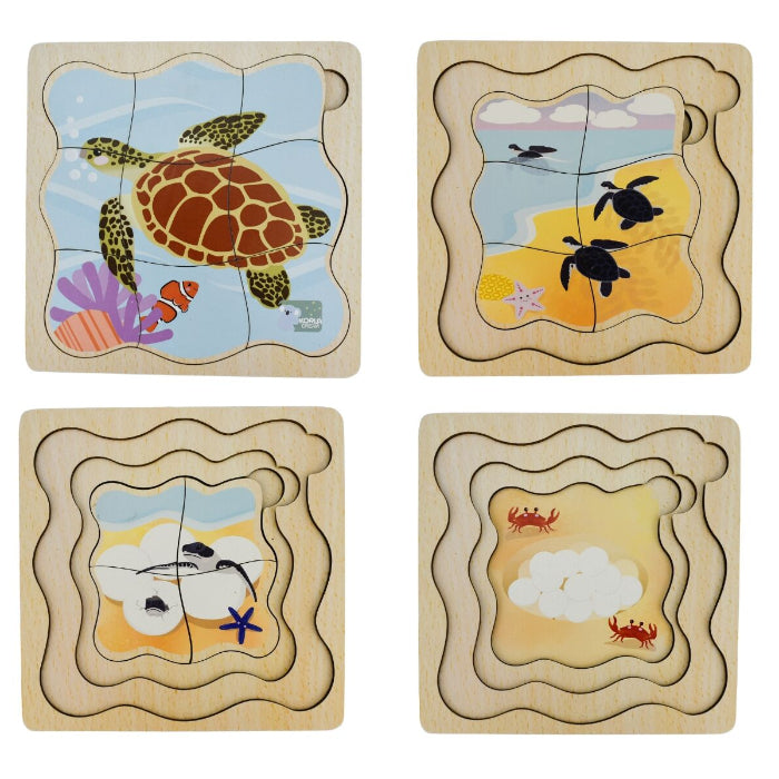Wooden life cycle puzzles