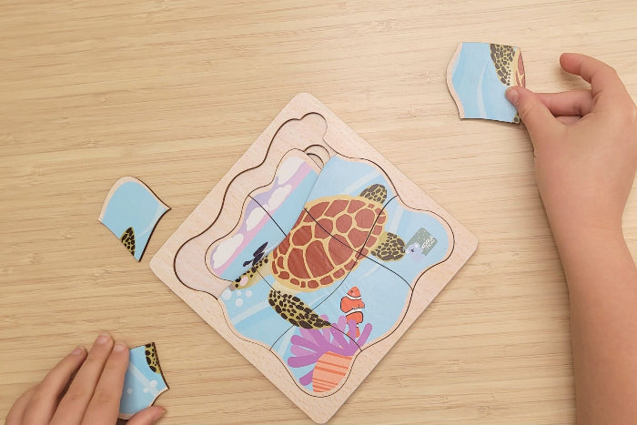 Wooden life cycle puzzles