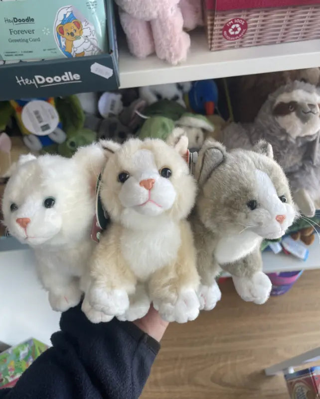 Hand holding white, cream and grey plush kitten toys together in the Adventure Awaits store — Adventure Awaits