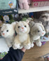 Hand holding white, cream and grey plush kitten toys together in the Adventure Awaits store — Adventure Awaits