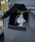Open grey Navigator Gas Regulator Buddy reveals caravan gas regulator through twin zip access - Adventure Awaits