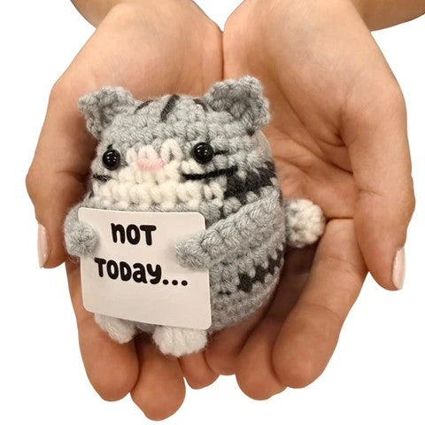 hands holding a handmade crochet cat plush toy with a funny “Not Today…” quote sign
