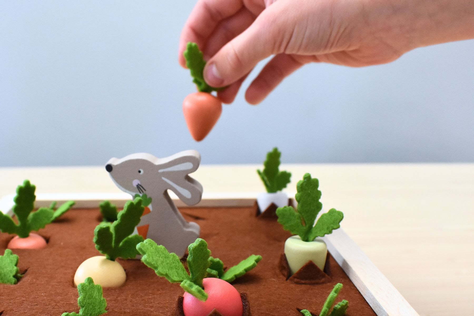 Radish Farm Memory Game