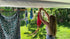 Slide n’ Dry Pegless Clothesline – Limited Aussie Edition (Green & Gold)