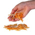 Hand holding Smooshos stretchy worms sensory toy in orange and cream colours — Adventure Awaits