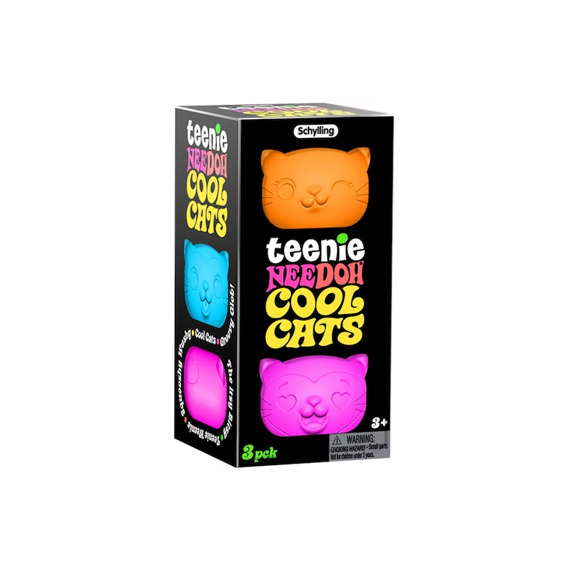 NeeDoh Teenie Cool Cats multipack sensory toys in display boxes, Adventure Awaits