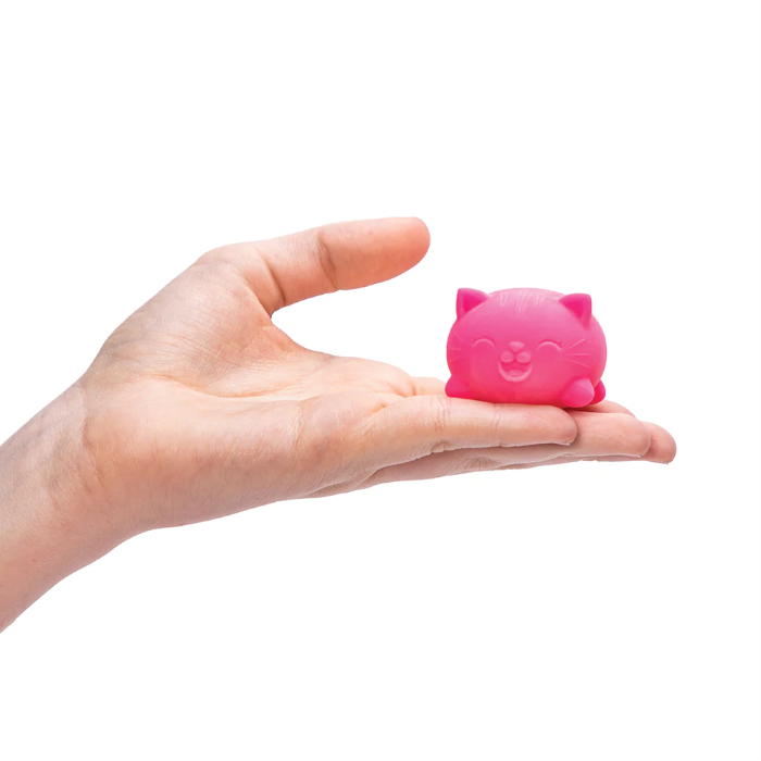 Needoh Teenie Cool Cat squishy in hand on white background, Adventure Awaits