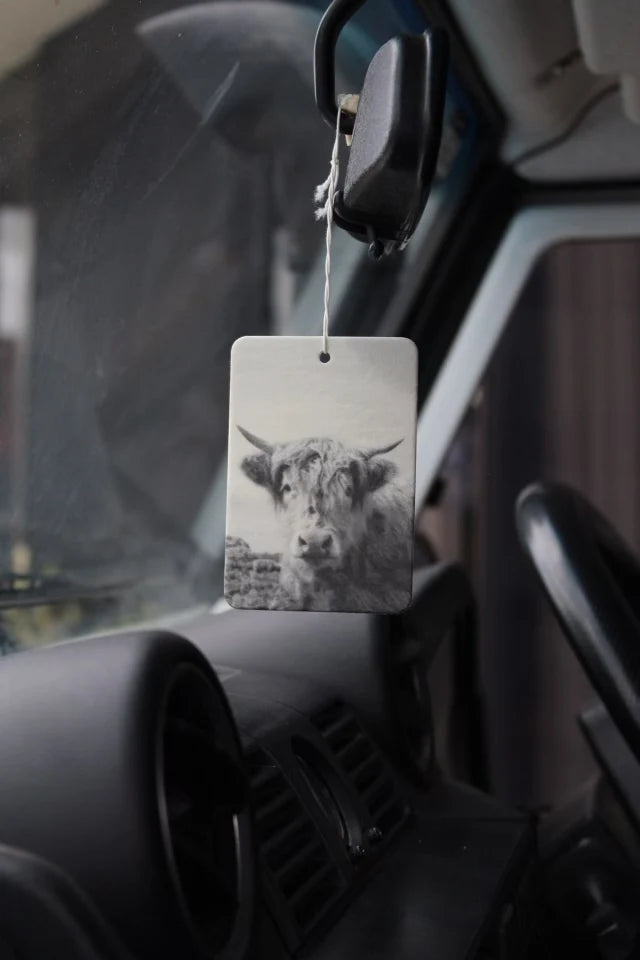 The Commonfolk highland cow boho hanging air freshener with Hudson Valley scent of cucumber, mint, lemongrass & ginger hanging on rear view mirror — Adventure Awaits