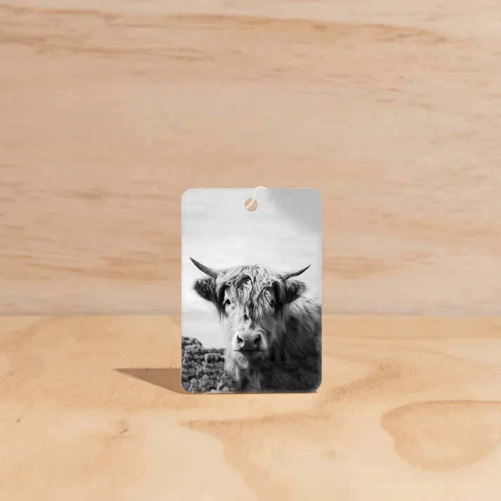 The Commonfolk Highland Cow boho hanging air freshener with Hudson Valley scent of cucumber, mint, lemongrass & ginger on a light timber background — Adventure Awaits
