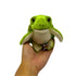 turtle shown in hand on white background