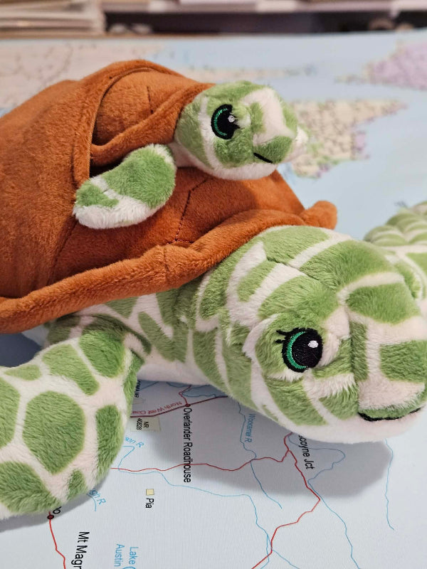 Two plush turtle toys on a map