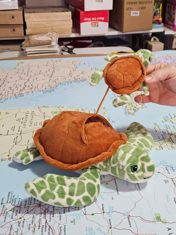 Plush turtle toy with a brown shell held by a hand on a map.