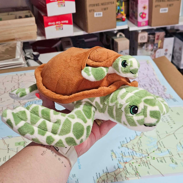 Plush turtle toy held in front of a store shelf with various items.