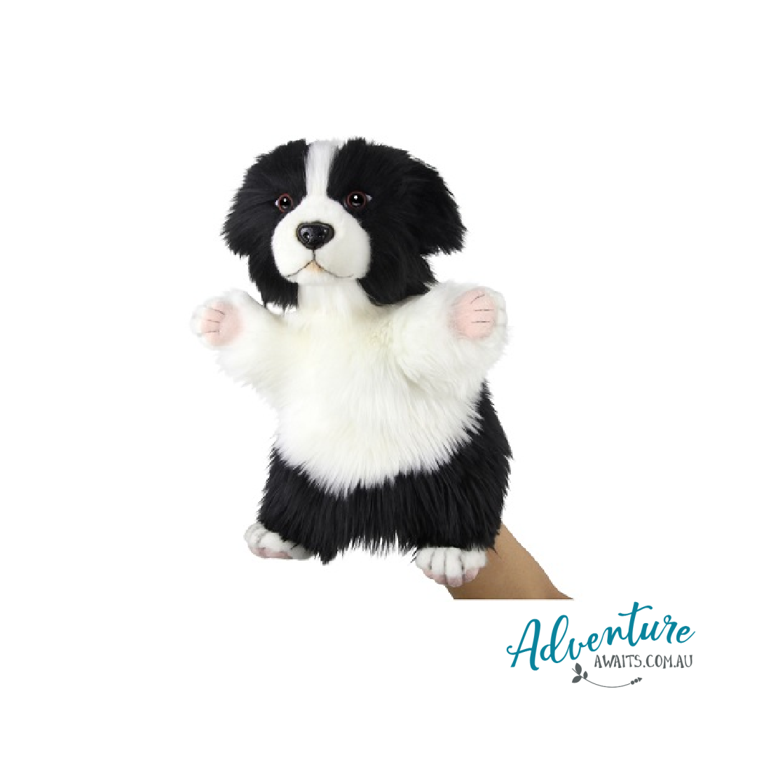 Hansa 10 Border Collie Puppy