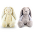 Cream and grey bunny plush toys with long floppy ears and soft cuddly bodies — Adventure Awaits
