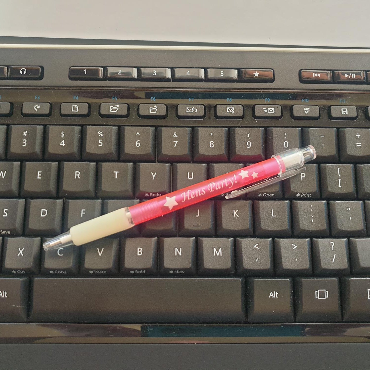 Metal & Plastic Gift Pens