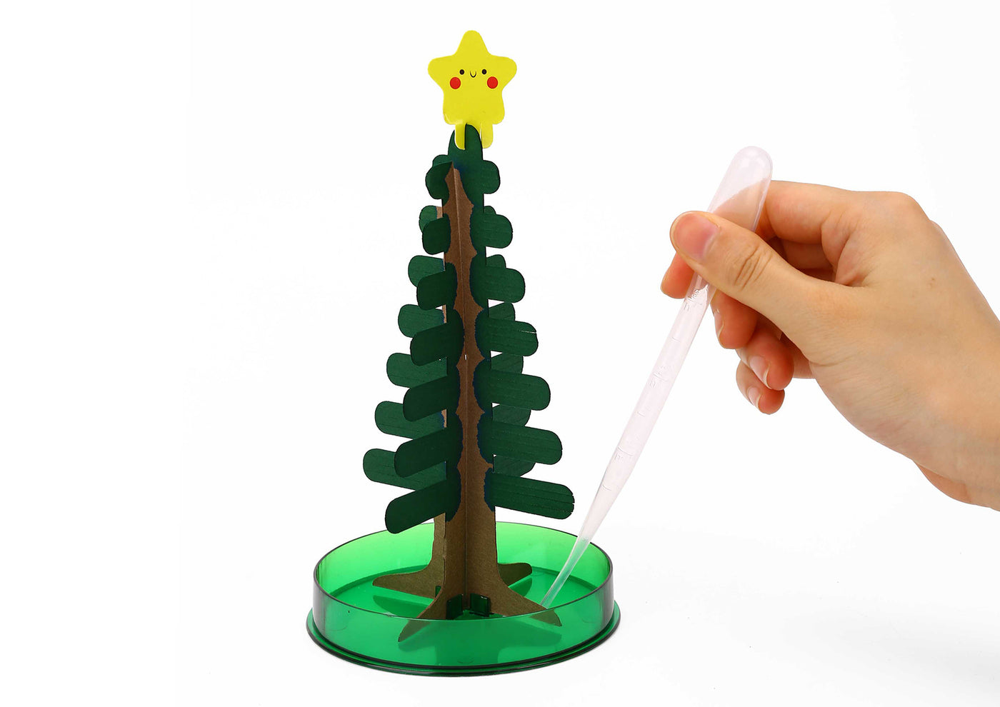 Magic Growing Tree Christmas Tree Craft Activity Science