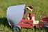Wooden Truck with Horse Float