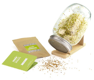 Urban Greens Sprout Jar Kit | Alfalfa