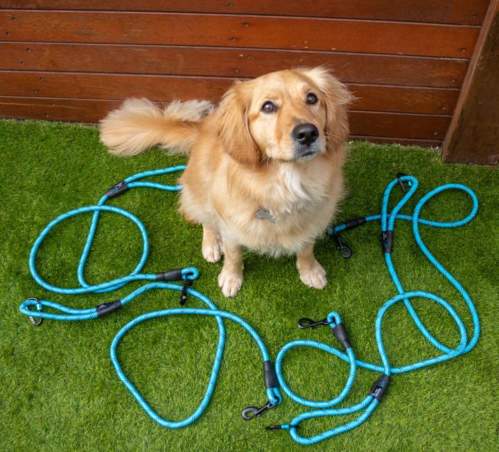 Navigator Dog Leash Buddy