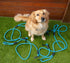 Navigator Dog Leash Buddy